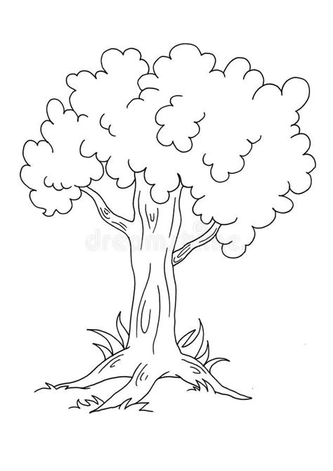 Tree - BW stock illustration. Illustration of bush, coloring - 12458905 | Tree drawing simple ...