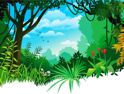 Jungle Transparent Isolated Images Png