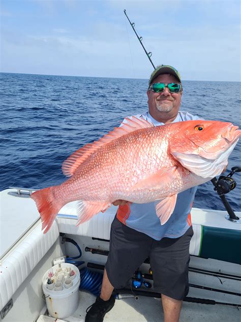 Offshore Fishing Charters – Captain Daddy Fishing Charters