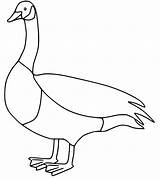 Goose 9 Coloring Page  Free Printable Pages For Kids sketch template