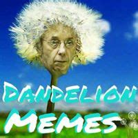 Dandelion Memes - StoreBot