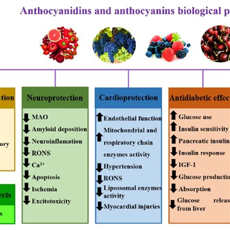 Basic chemical structure of the main anthocyanidins and their ...