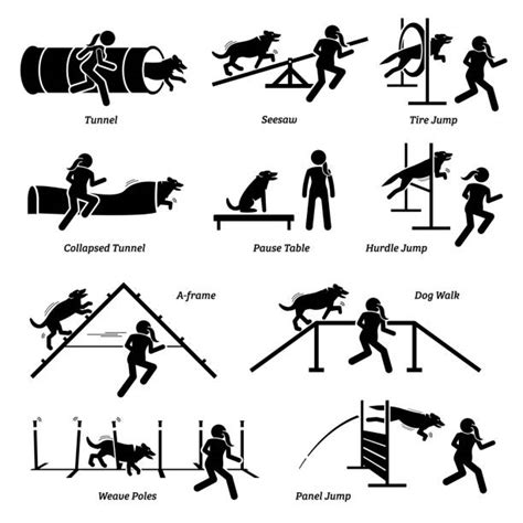 Dog Agility Illustrations, Royalty-Free Vector Graphics & Clip Art - iStock