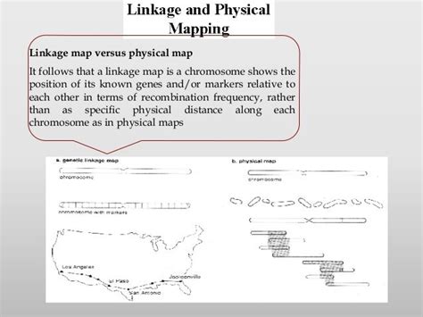 Gene mapping