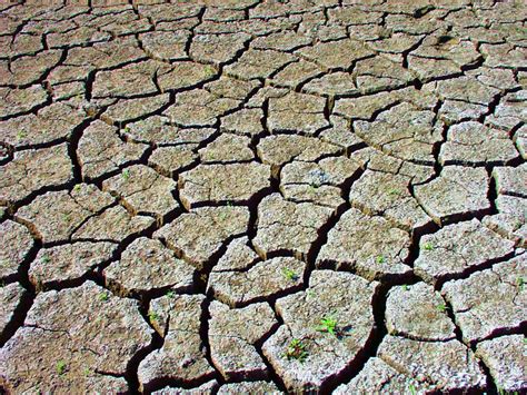 ICID : Working Group on Water Management in Water Stressed Regions (WG-DROUGHT)