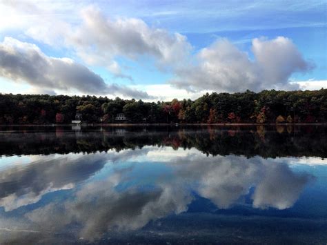 Beauty - Preserve White Pond