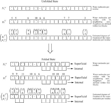 Scheme 1. Graphical representation of the hydrophobic effect term ...