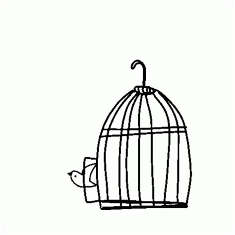 Abiera Bird Sticker - Abiera Bird Bird Cage - Discover & Share GIFs