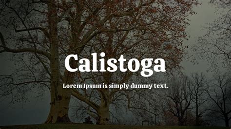 Calistoga Font Family : Download Free for Desktop & Webfont