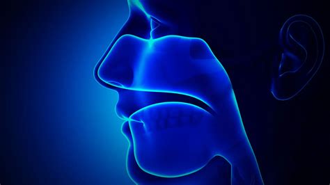 Otolaryngology - Head and Neck Surgery