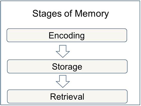 How to Do a Psychology Short-Term Memory Experiment : 13 Steps ...