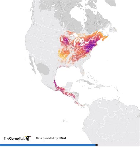 Canada Warbler migration : r/MapCursor