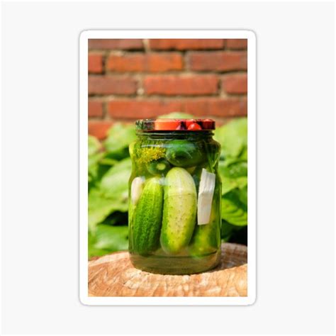 "Pickled organic cucumber" Sticker by Claraveritas | Redbubble