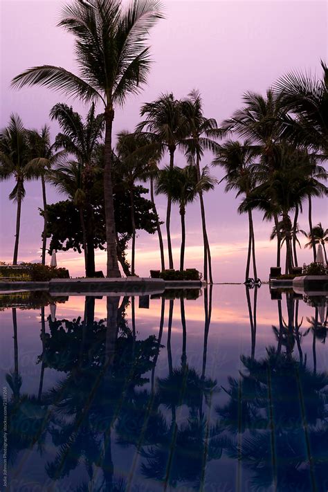 Infinity Pool Sunset And Silhouette Of Palm Trees by Jodie Johnson ...