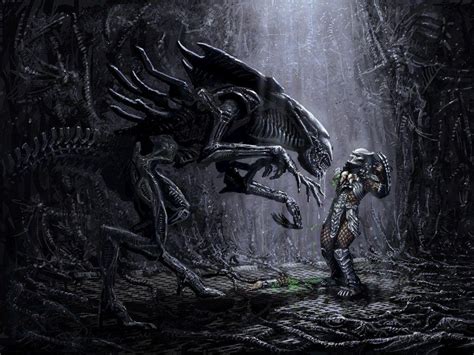 Alien Vs Predator Wallpapers - Wallpaper Cave