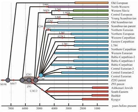 Haplogroup R1a, Its Subclades and Branches in Europe during the Last 9000 Years | Branch, Europe ...