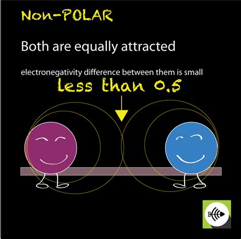 What is Nonpolar Covalent Bond