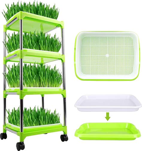 Amazon.com: sprout trays