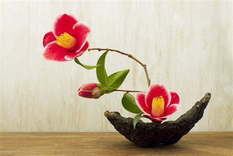 Ikebana Information: Growing Plants For Ikebana Flower Arranging