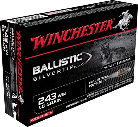 SBST243 | Winchester Ammunition