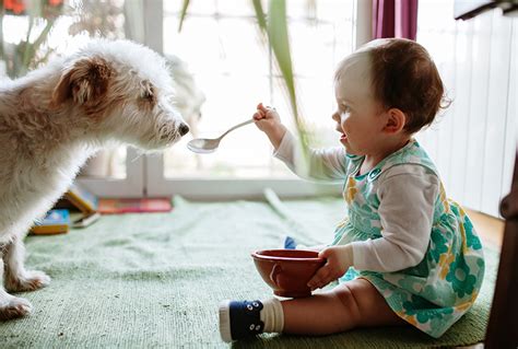 Help! My Child Ate Dog Poop! | My Vanderbilt Health