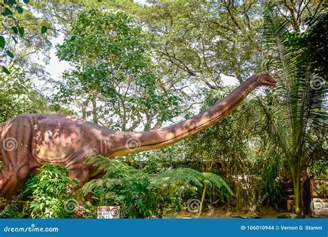 A Diplodocus at Dinosaur Island, Aka, Jurassic Park Editorial Stock Image - Image of walk, park ...