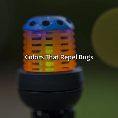 What Color Light Repels Bugs - colorscombo.com