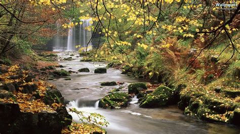 Autumn Waterfall Wallpaper (57+ images)