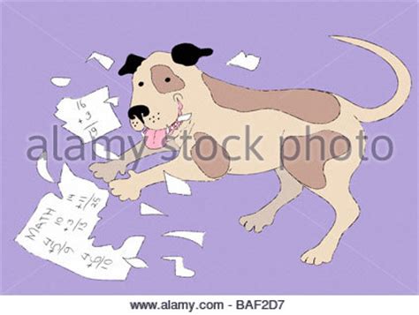 Dog eating homework Stock Photo, Royalty Free Image: 11979178 - Alamy