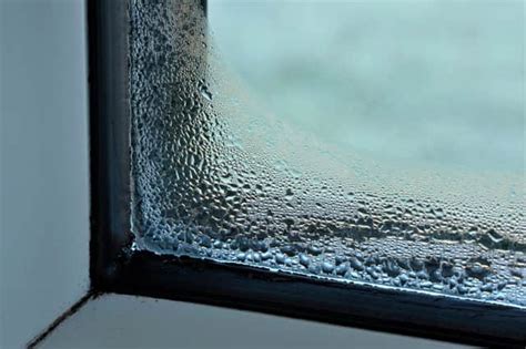 What causes condensation? 6 tips to treat window condensation