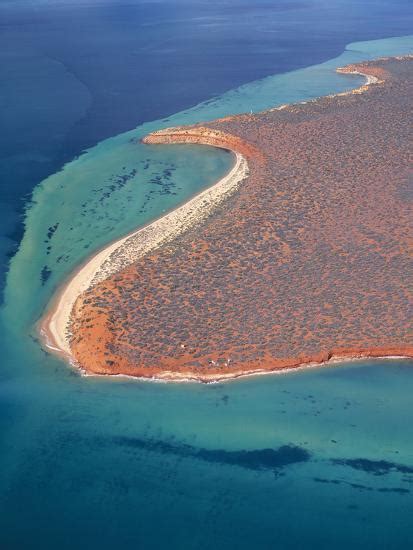 'Australia Shark Bay, World Heritage Area (Unesco)' Photographic Print | AllPosters.com