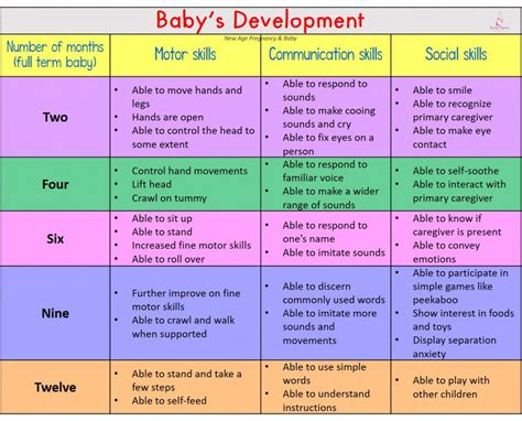 Caring For A Premature Baby: What Parents Need To Know | Pregnancy in ...