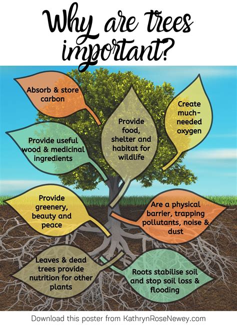 'Why are Trees Important?' Eco-Poster ~ Kathryn Rose Newey