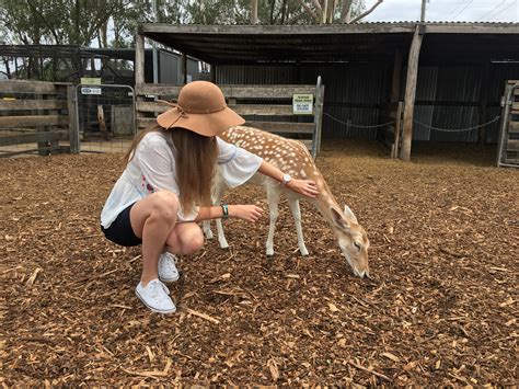 I visited Hunter Valley Zoo and made a pretty little friend 🦌 : r/newcastle