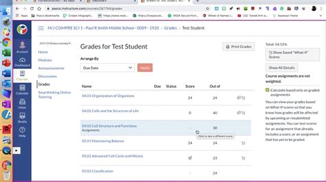 How to view grades in Canvas - YouTube