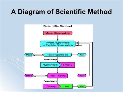 Introduction to Physical Anthropology