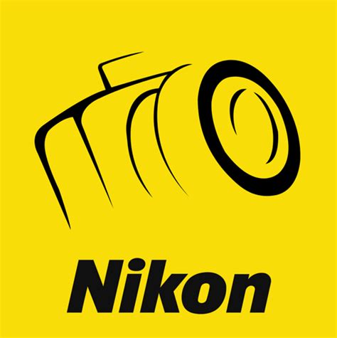 Best Nikon DSLR Cameras for Video - 2020 (All Budgets)