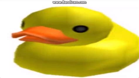 Roblox The elevator Ducks Music | Duck, Roblox, Rubber duck