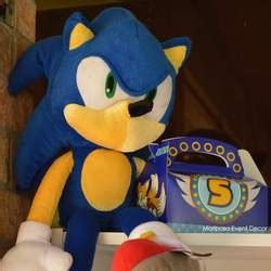 Sonic the Hedgehog / Birthday "Sonic Zoom! " | Catch My Party