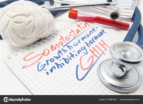 Notebook labeled Somatostatin growth hormone inhibiting hormone (SHIH ...