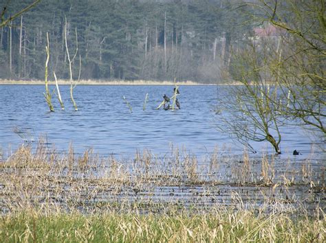 Blagdon Lake © Rick Crowley cc-by-sa/2.0 :: Geograph Britain and Ireland