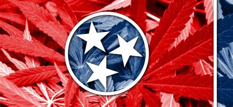 What states near Tennessee allow medical cannabis? – Magnolia