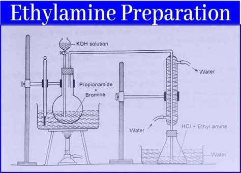 Ethyl Amine: Preparation, Properties, Uses, and Tests|Chemistry Page