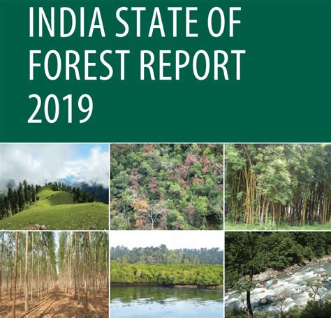 India State of Forest Report 2019: Key Findings - ClearIAS