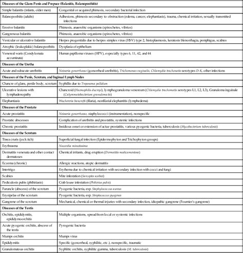 Diseases of the Male Reproductive System | Basicmedical Key