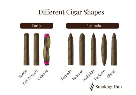 How to Choose and Select a Good Cigar: Guide – Smoking Hub