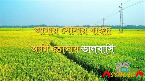 Amar Sonar Bangla(আমার সোনার বাংলা) Lyircs & MP3 by James - Bangla Song ...