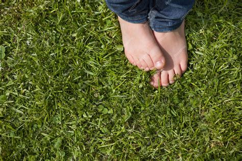 Premium Photo | Top view on kids bare feet on the green grass Little ...