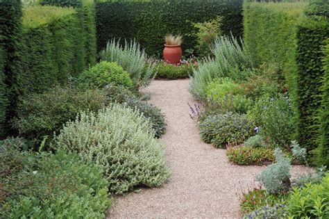 41 Incredible Garden Hedge Ideas for Your Yard (PHOTOS)