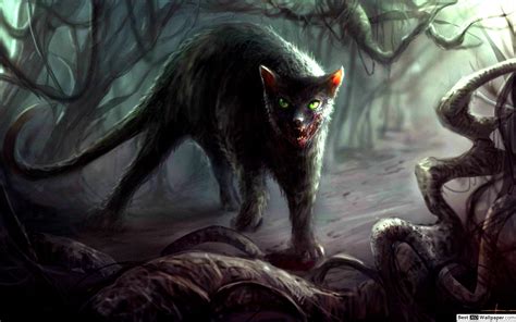 Forest Cat Fantasy Art - 2560x1600 Wallpaper - teahub.io